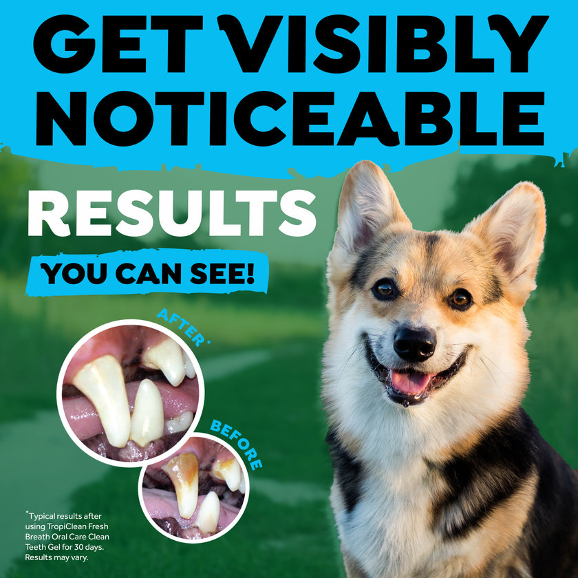 Tripleflex Toothbrush for Dogs (2 sizes)