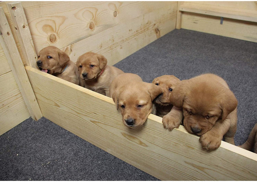 Drymate Premium Whelping Box Liner (48