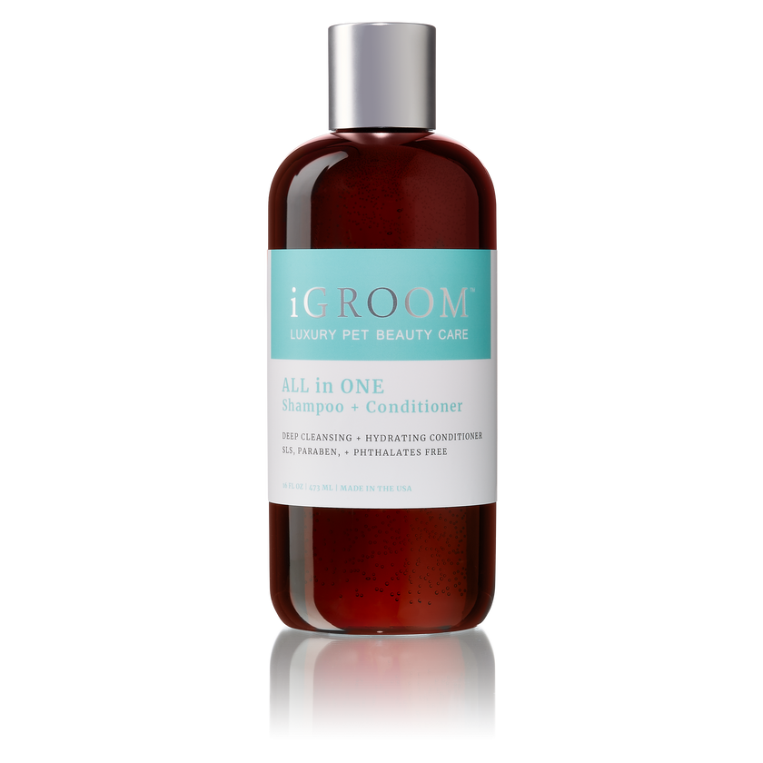 iGROOM - All-In-One Shampoo + Conditioner (2 sizes) ...