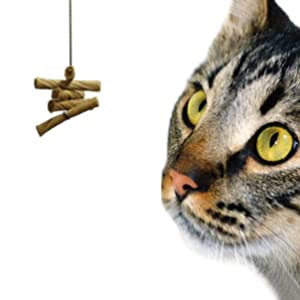 Cat Dancer Original - Single