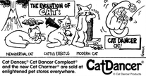 Cat Dancer Original - Single