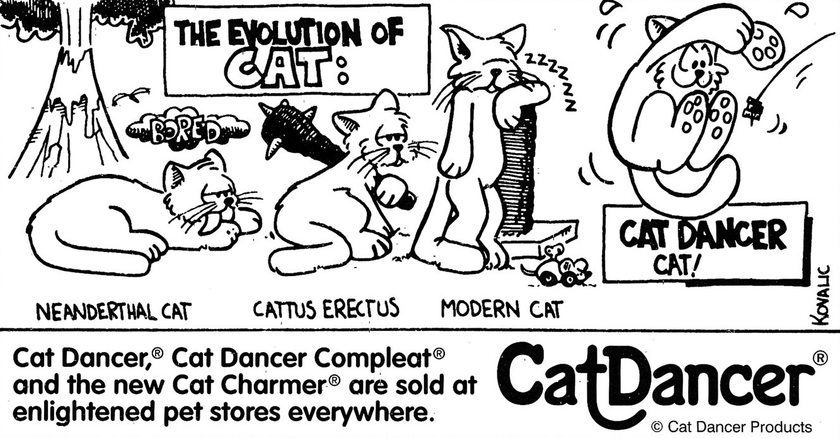 Cat Dancer Original - Single