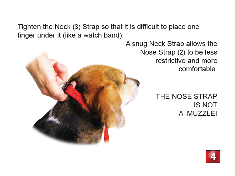 Gentle Leader Headcollar