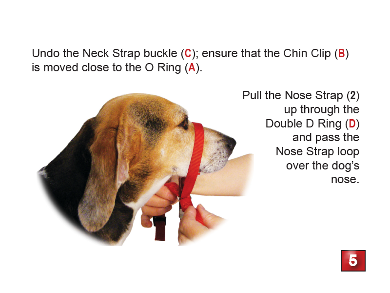 Gentle Leader Headcollar