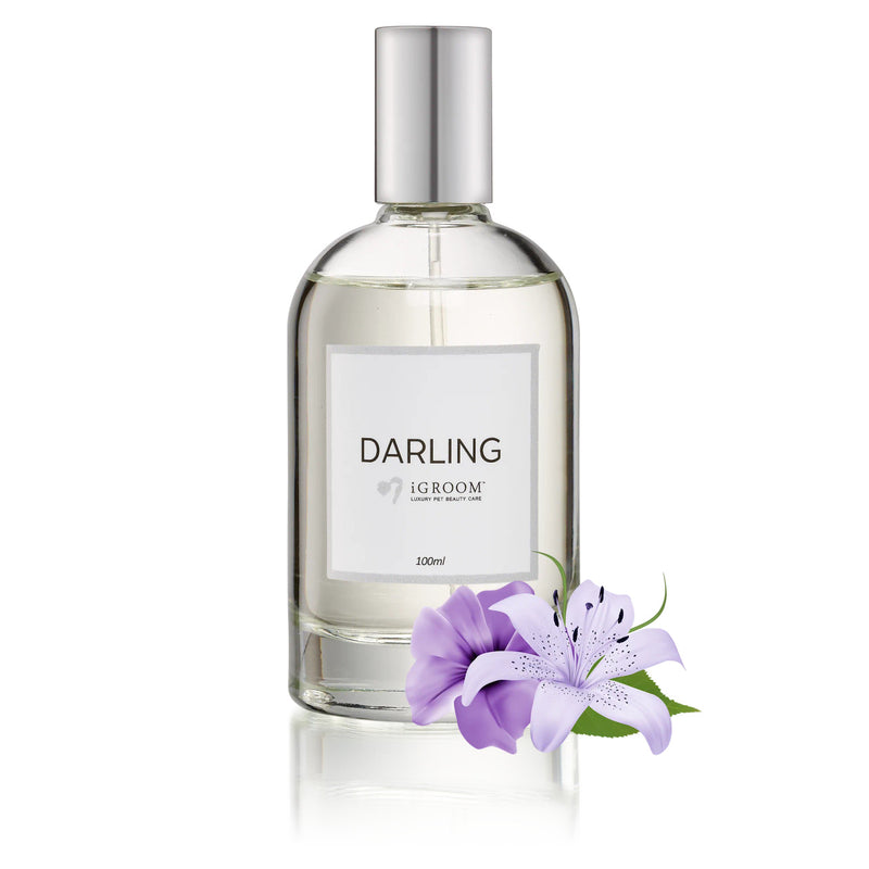 iGROOM - Darling Perfume/Cologne