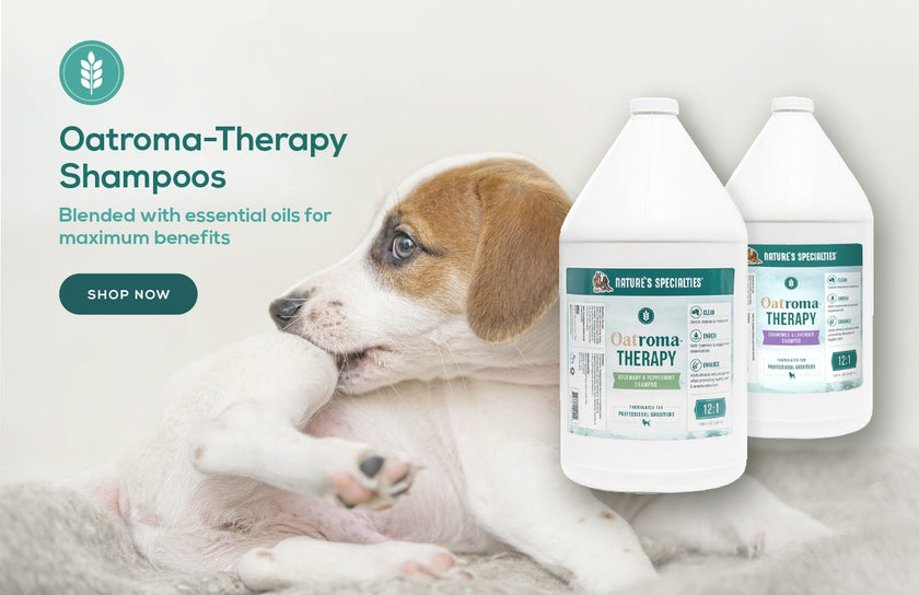 Nature's Specialties Oatroma Therapy Chamomile & Lavender Shampoo