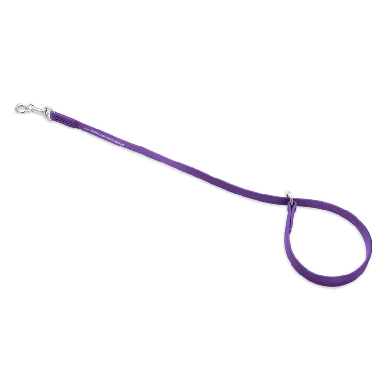 Jelly Pet Grooming Slip Loop - 3/8" x 25" [9 colours] ...